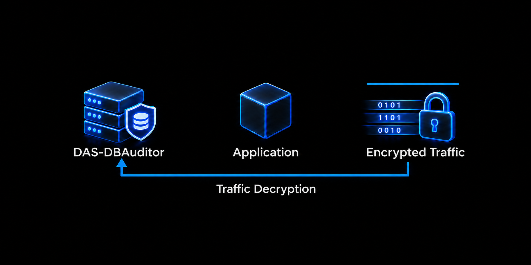 Encrypted traffic decryption architecture connecting DAS-DBAuditor, an application, and encrypted traffic.